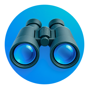 Vision